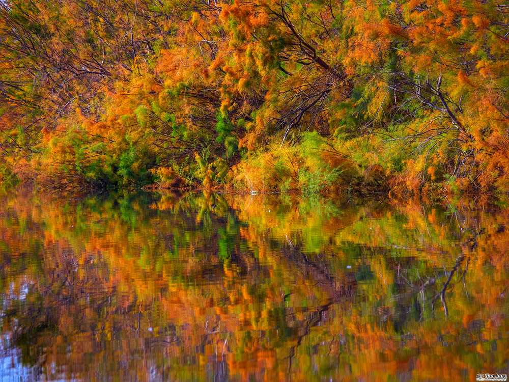 GuruShots Winning Images From The Autumn Is Here Challenge