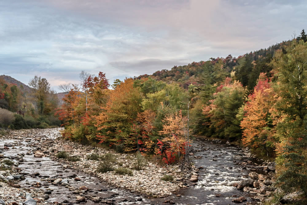 GuruShots Winning Images From The Autumn Is Here Challenge