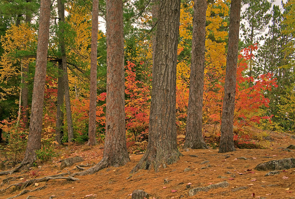 GuruShots Winning Images From The Autumn Is Here Challenge