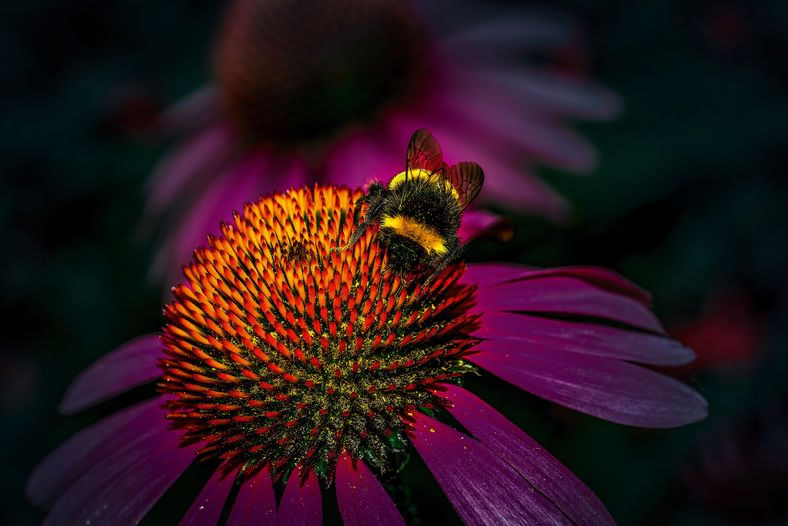 16 Stunning Images Of National Geographic Traveller Photography Contest 2021