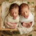 newborn twins photography