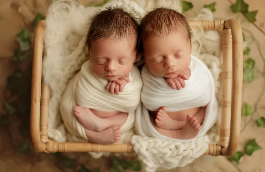 newborn twins photography