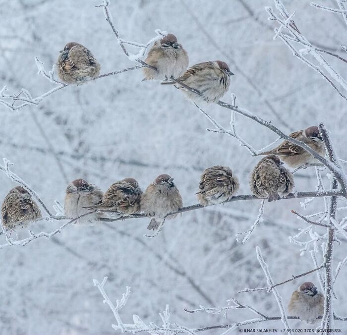 20 Photos That Perfectly Shows You How Cold Is Russia In Winter 