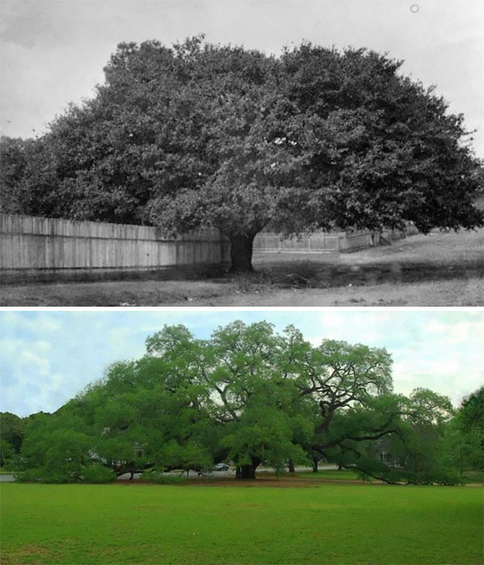 These 30 Photos Taken At The Same Location At Different Points In Time