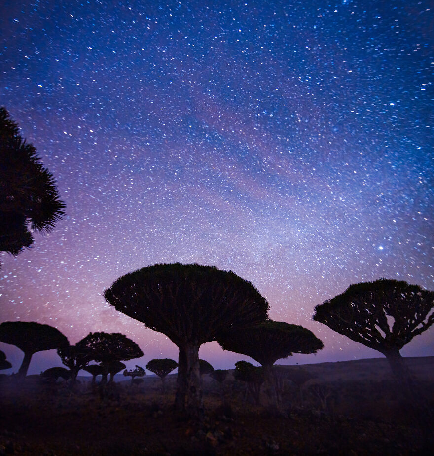 Russian Photographer Kristina Makeeva Explored Socotra Island A Place Unlike Anywhere 