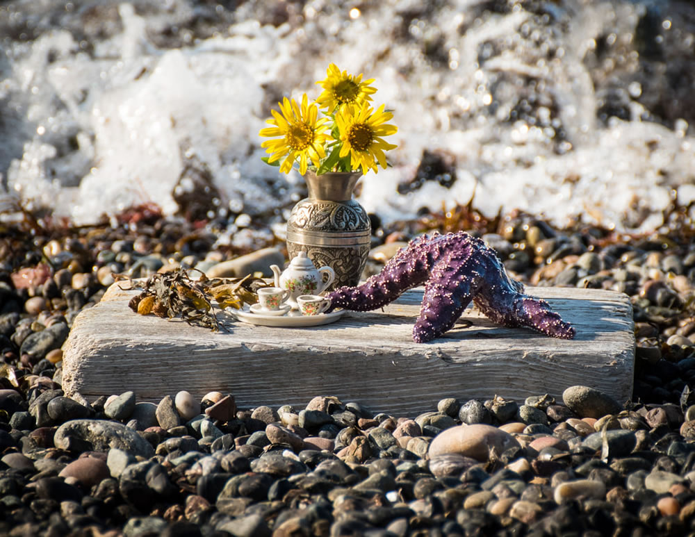 Tea For Two: Magical Photos Of Animals By Jay Rainey