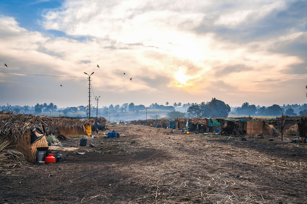 Warriors In Sugar Land: An Amazing Photo Series By Dnyaneshwar Vaidya