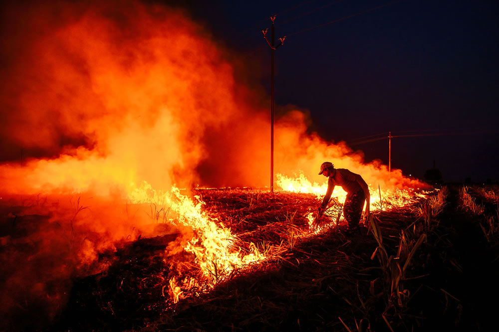 Warriors In Sugar Land: An Amazing Photo Series By Dnyaneshwar Vaidya