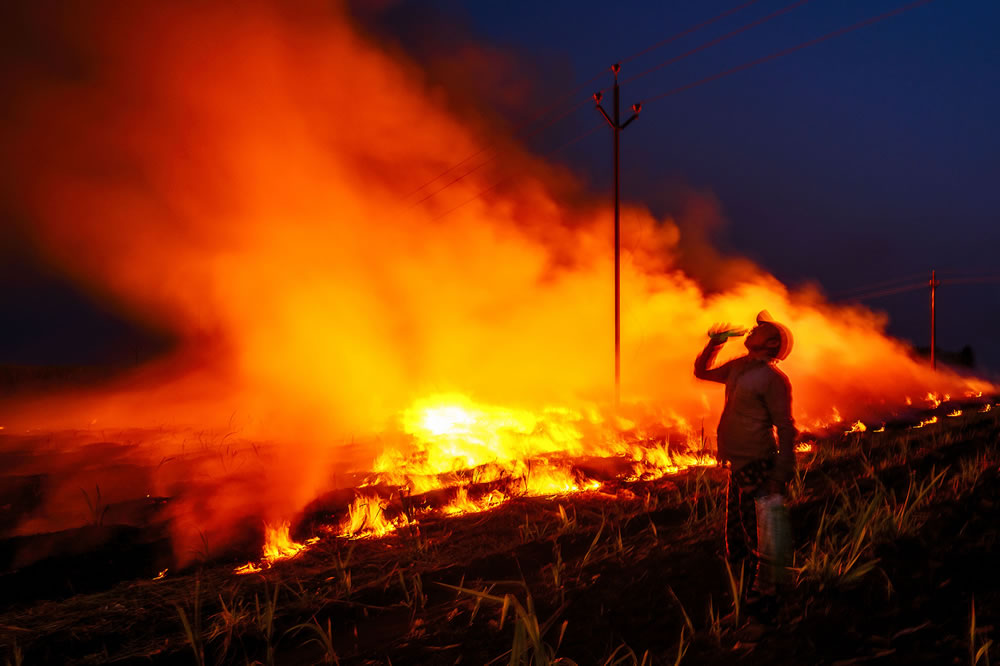 Warriors In Sugar Land: An Amazing Photo Series By Dnyaneshwar Vaidya