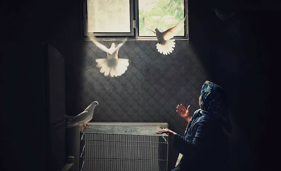 60 Stunning Photos From World Photographic Forum Instagram Page