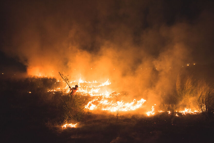 26 Amazing Winners Of The Environmental Photographer Of The Year 2021