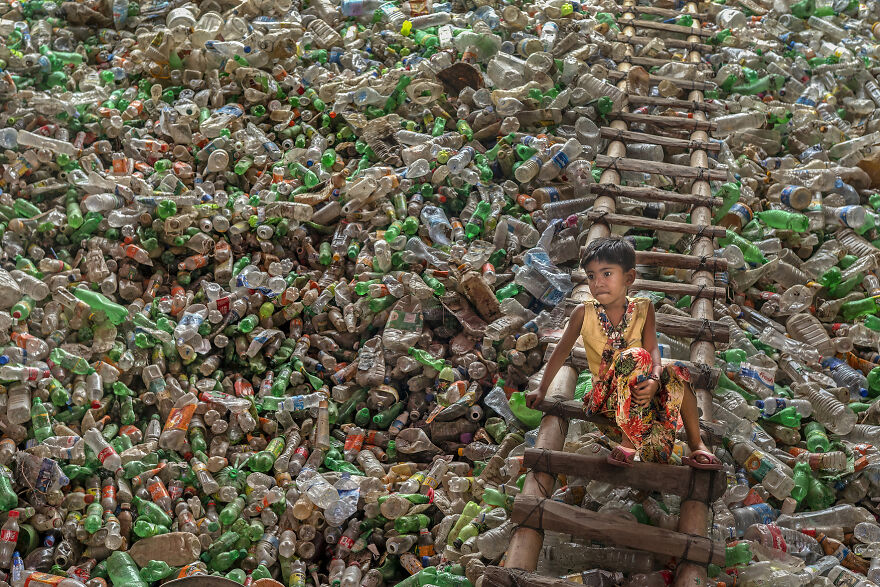 26 Amazing Winners Of The Environmental Photographer Of The Year 2021