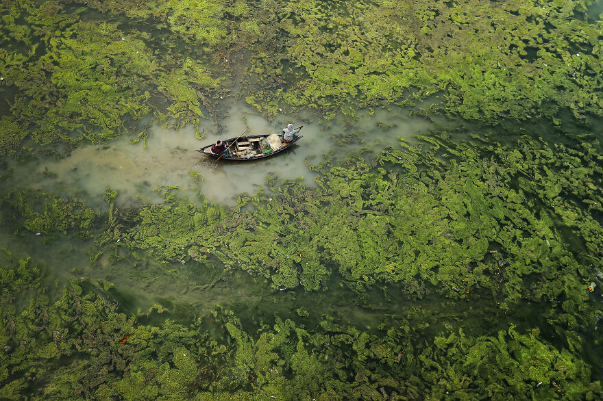 26 Amazing Winners Of The Environmental Photographer Of The Year 2021