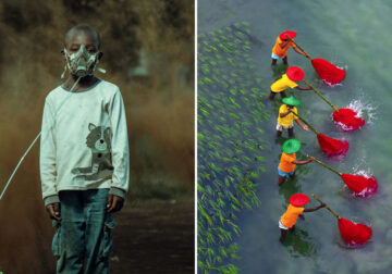 26 Amazing Winners Of The Environmental Photographer Of The Year 2021