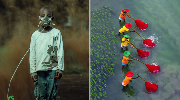 26 Amazing Winners Of The Environmental Photographer Of The Year 2021