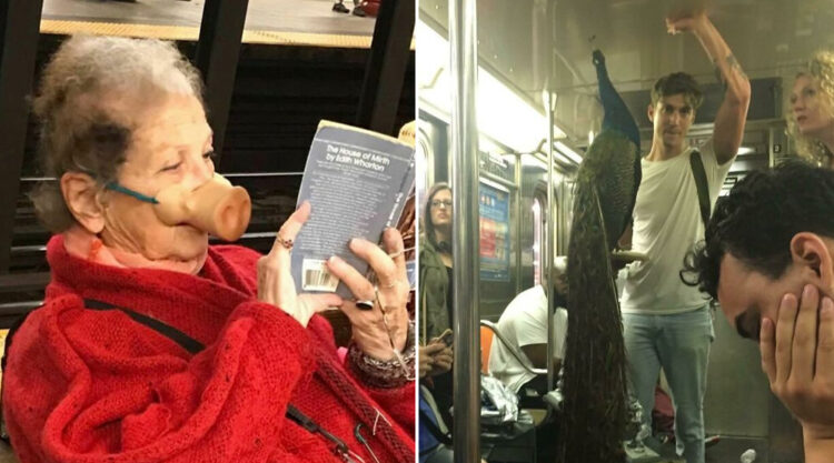30 Photos Of Funny And Strange Things Spotted On The Subway