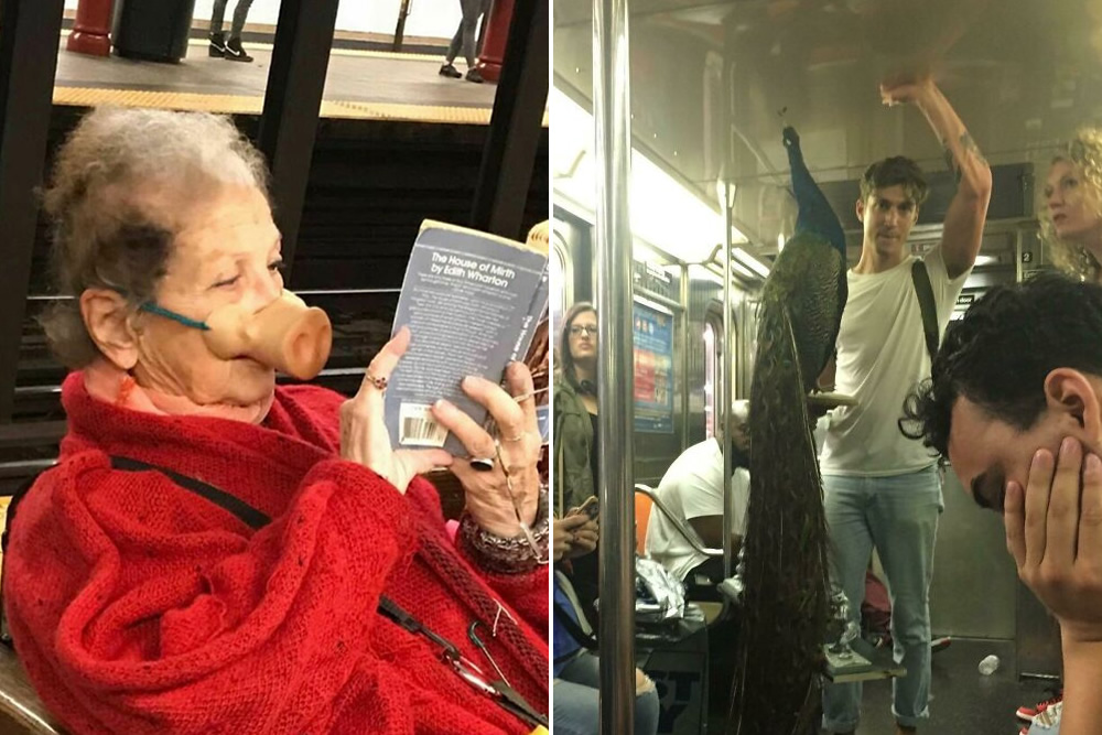 30 Photos Of Funny And Strange Things Spotted On The Subway