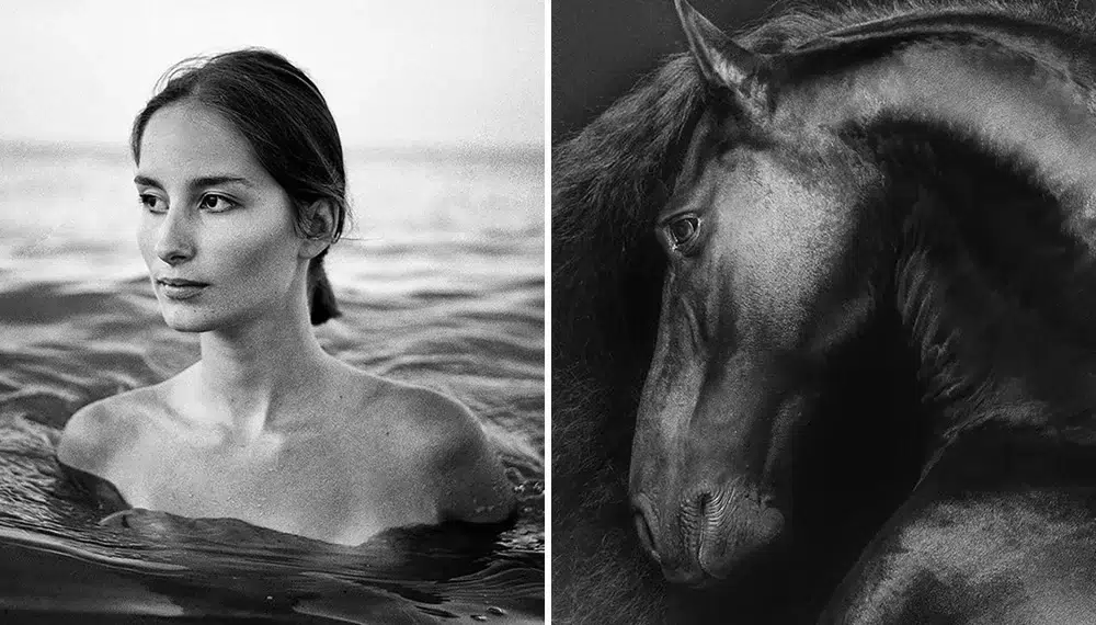 Inspiring Winning Photos Of The 2021 International Photography Awards