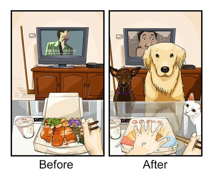 Illustrations That Show How Life Changes After Getting A Pet