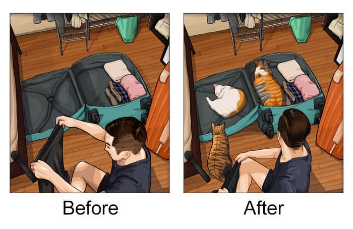 Illustrations That Show How Life Changes After Getting A Pet