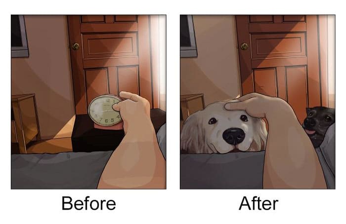 Illustrations That Show How Life Changes After Getting A Pet