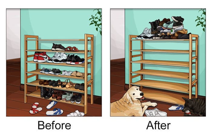 Illustrations That Show How Life Changes After Getting A Pet