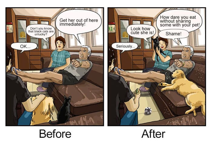 Illustrations That Show How Life Changes After Getting A Pet