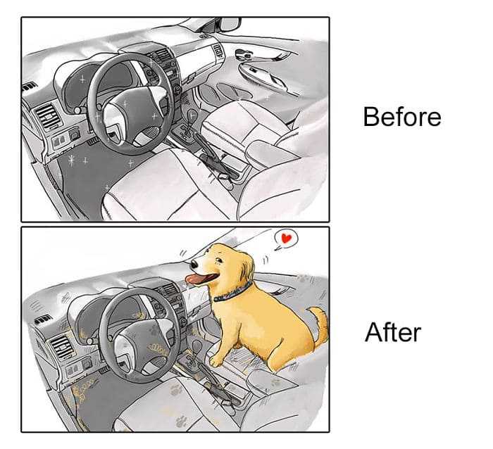 Illustrations That Show How Life Changes After Getting A Pet