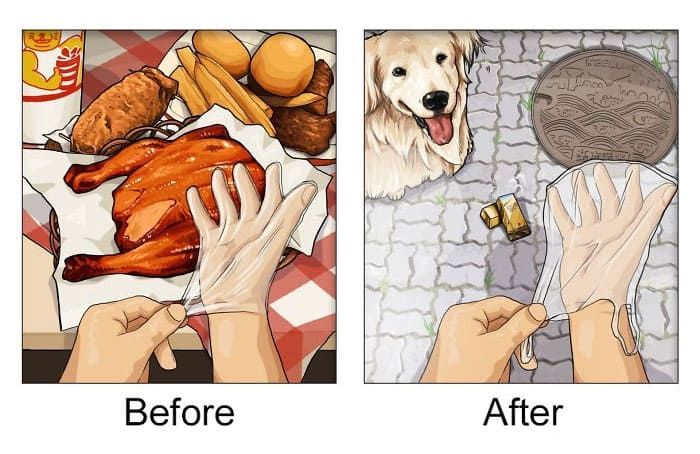 Illustrations That Show How Life Changes After Getting A Pet