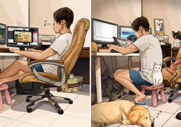 22 Illustrations That Show How Life Changes After Getting A Pet