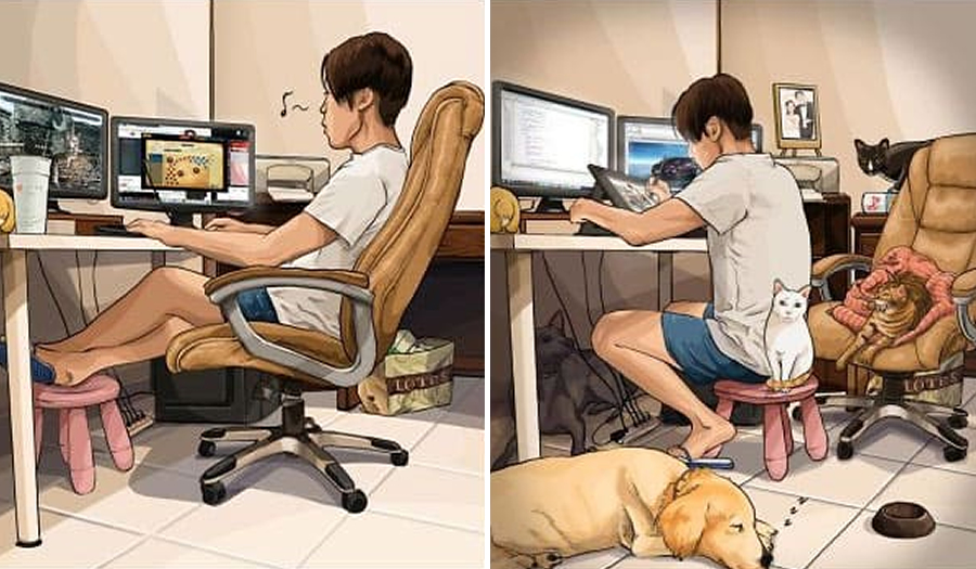 22 Illustrations That Show How Life Changes After Getting A Pet