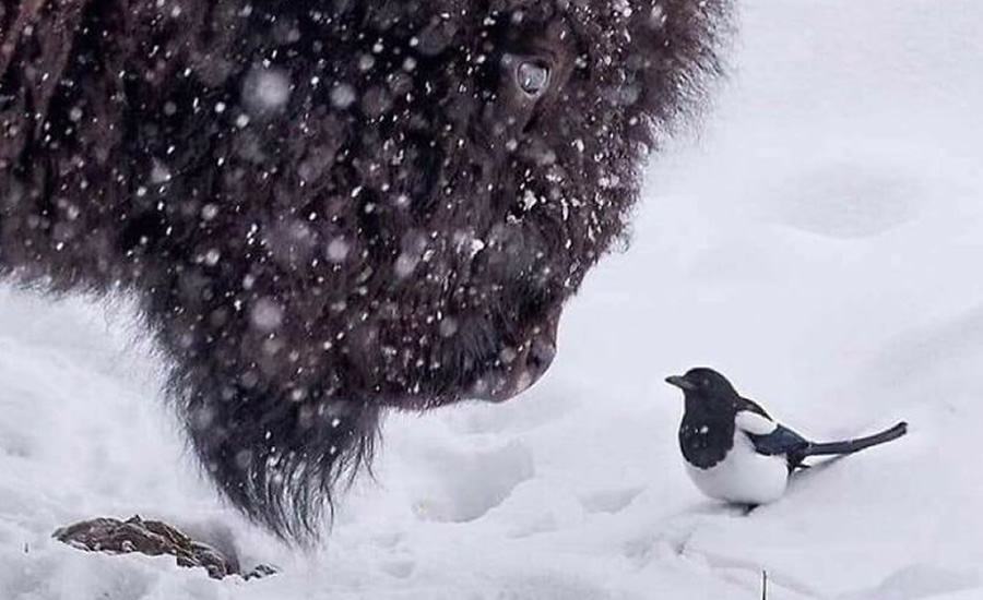 30 Photos Of Nature In Its Full Glory And Magnificence