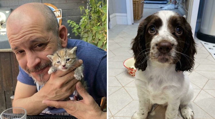 45 Wholesome Rescue Pet Pics To Heal Your Soul