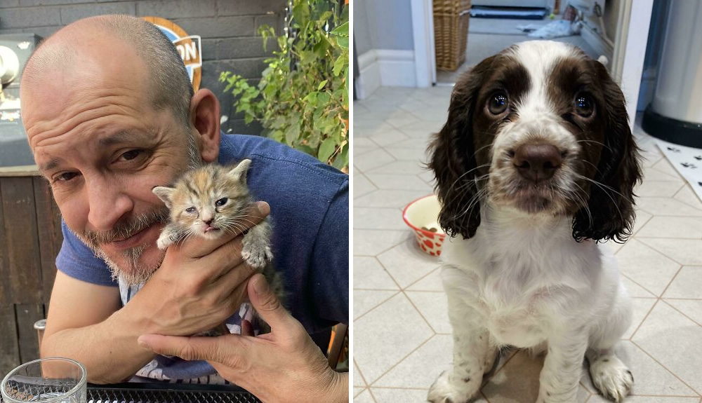 45 Wholesome Rescue Pet Pics To Heal Your Soul