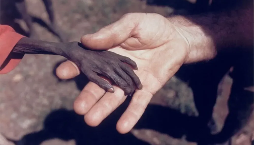 30 Most Shocking & Heart Touching Photographs Ever Made 30 shocking photos ever made