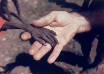 shocking photos ever made