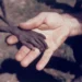 shocking photos ever made