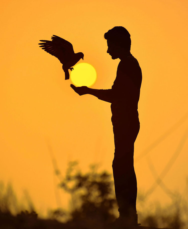 Photographer Sulabh Lamba Use the Sun To Creates Playful Silhouette Photos