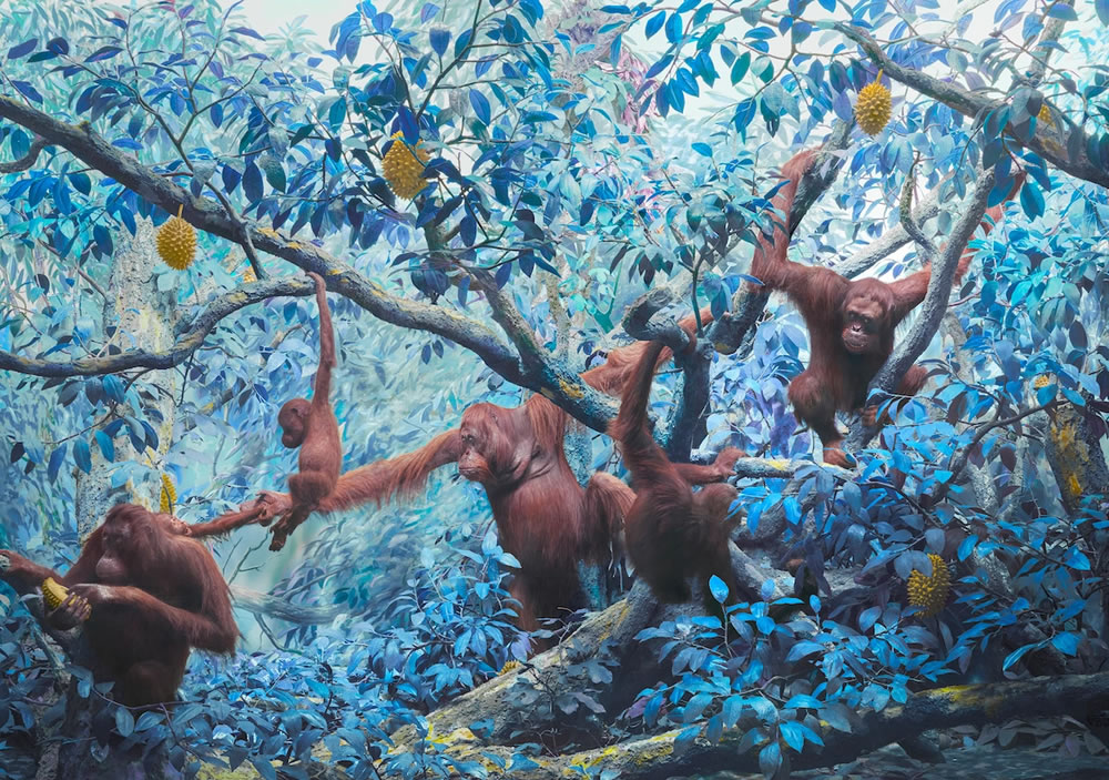 Wildlife Reimagined in Technicolor Dreamscapes By Jim Naughten