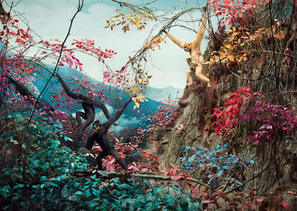 Vida selvagem reimaginada em paisagens de sonho em technicolor, de Jim Naughten