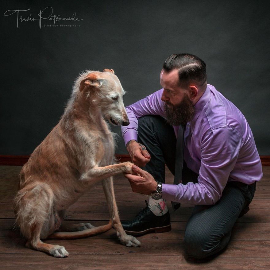 Abandoned Hunting Dogs In Spain By Travis Patenaude