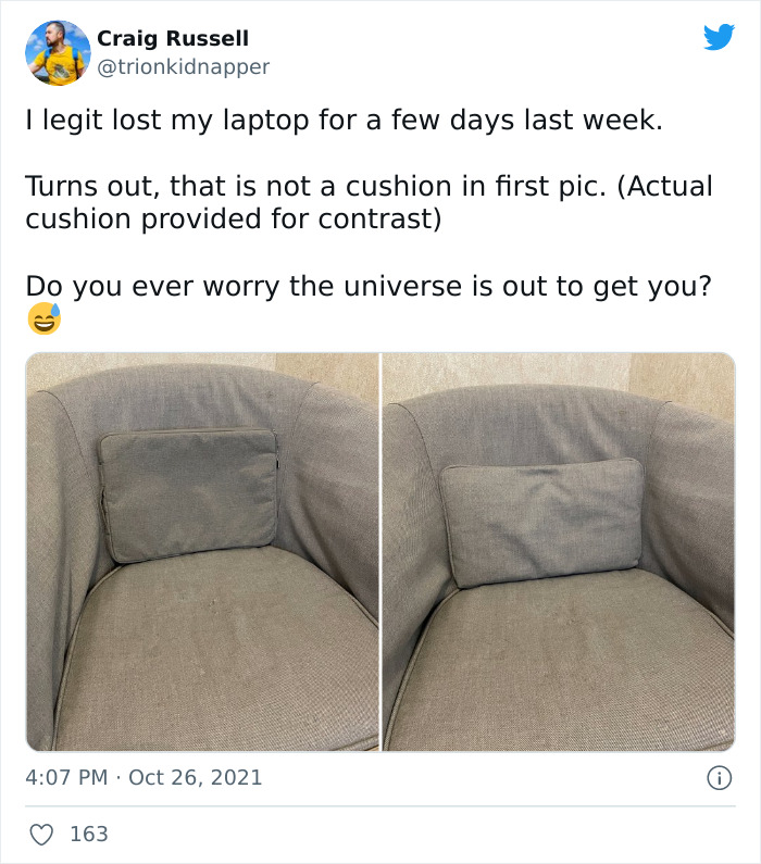 Accidental Camouflage Photos People Shared In This Online Group