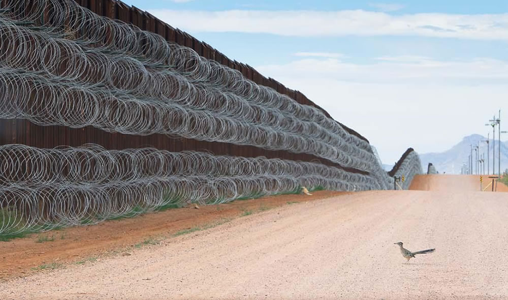 Best Of 2021: Top 45 Award-Winning Photos From Around The World