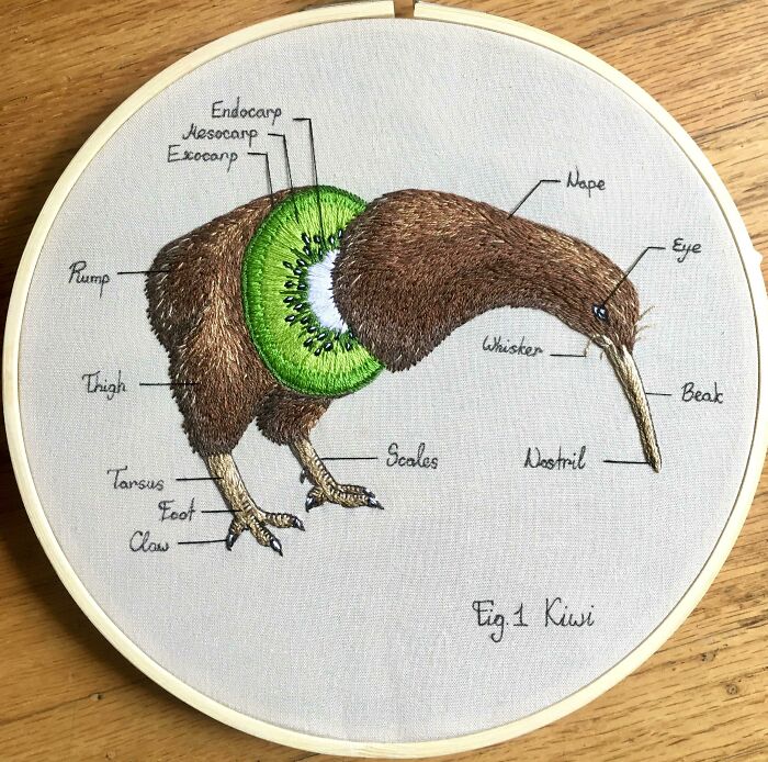 Creative Embroidery Work Photos Shared By Reddit Group