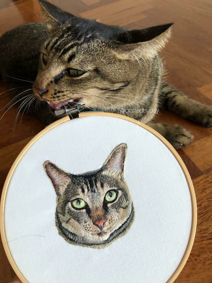 Creative Embroidery Work Photos Shared By Reddit Group