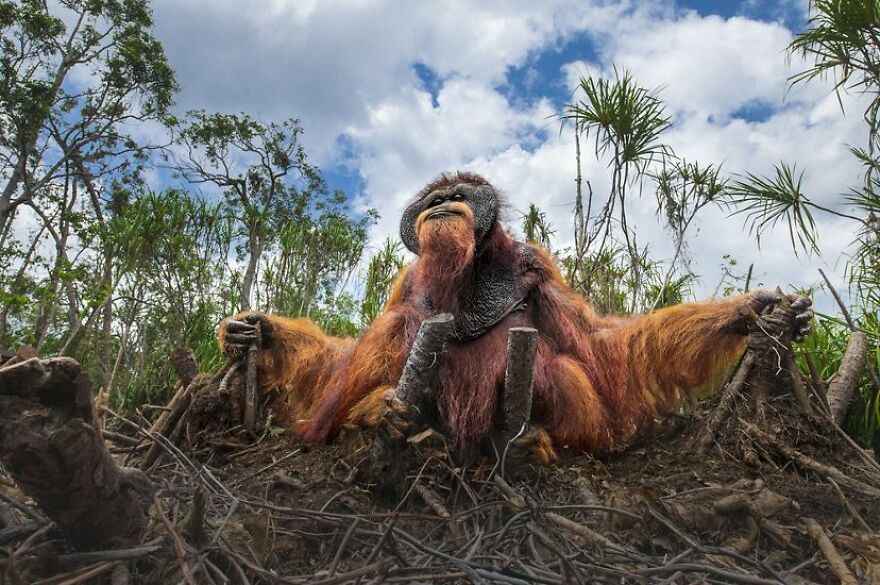 Winning Photos Of The Nature Conservancy Photo Contest Winners 2021