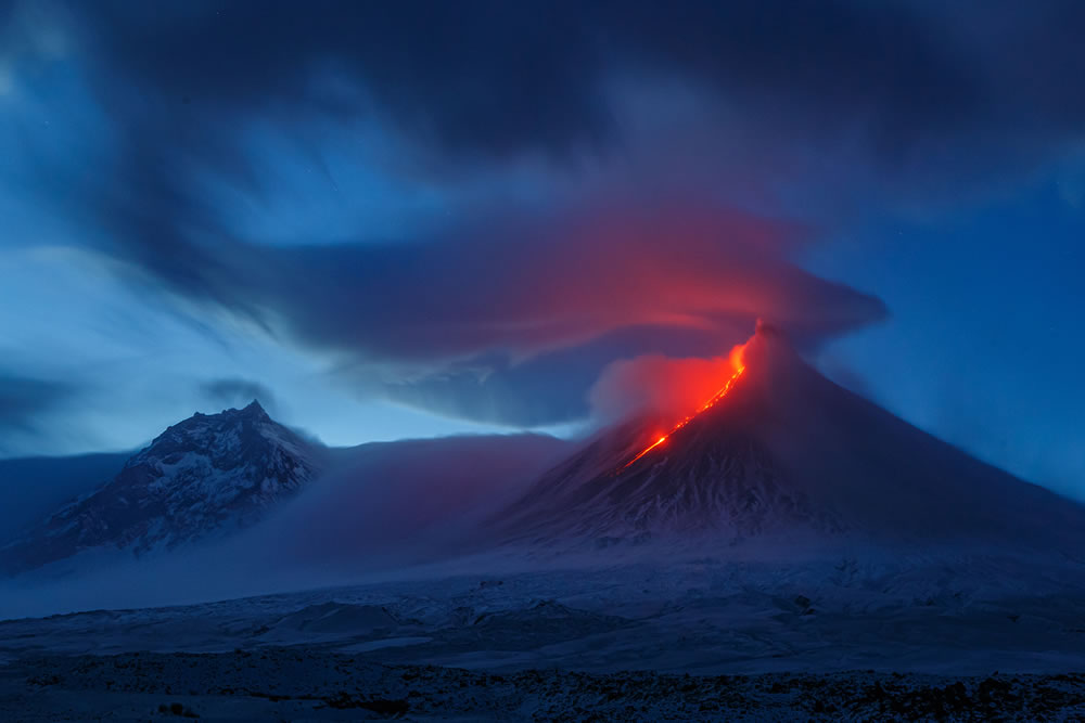 Winning Photos From The Nature Photographer Of The Year Awards