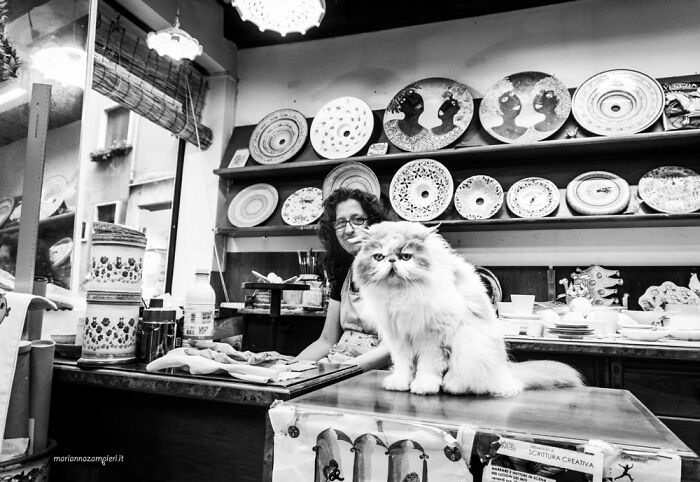 Photographs Of People With Their Cats In Venice, Italy By Marianna Zampieri