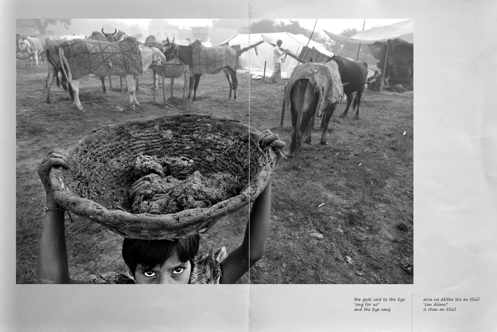 The Stars Is Bones: Book On Photography & Haiku