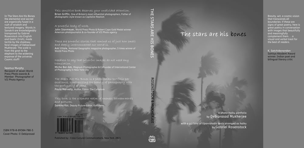 The Stars Is Bones: Book On Photography & Haiku